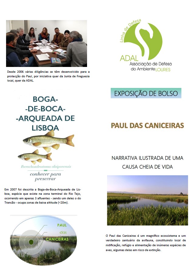 Paul das Caniceiras