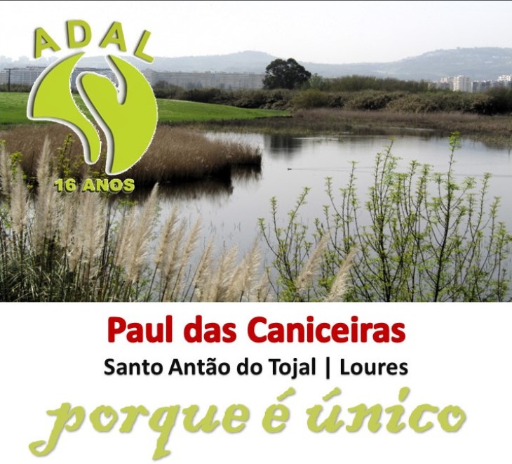 2024  |  ABRIL  |  N.º 108