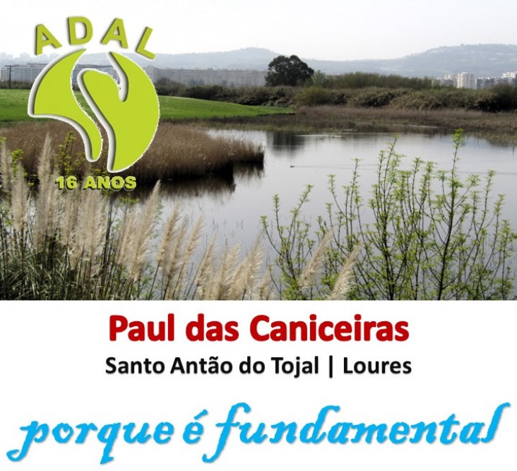 2024  |  MAIO  |  N.º 109