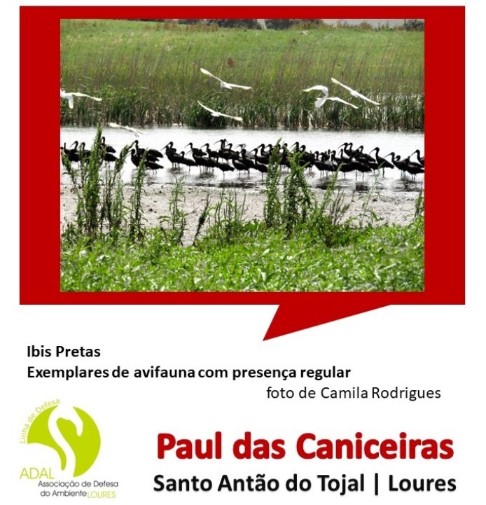 2024  |  JULHO  |  N.º 111