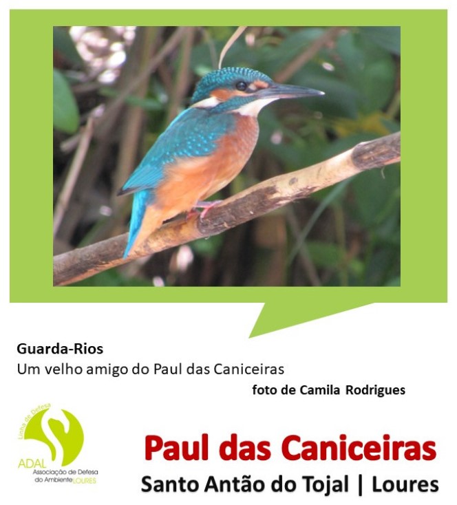 2024  |  AGOSTO/SETEMBRO  |  N.º 112